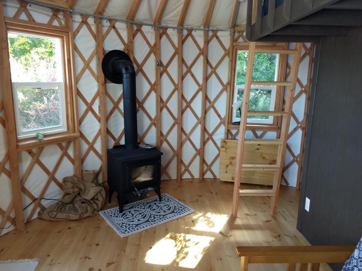 Отель Livingston Manor Yurt Parksville Экстерьер фото